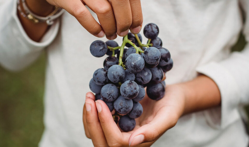 wine-tours-wine-tasting-santorini